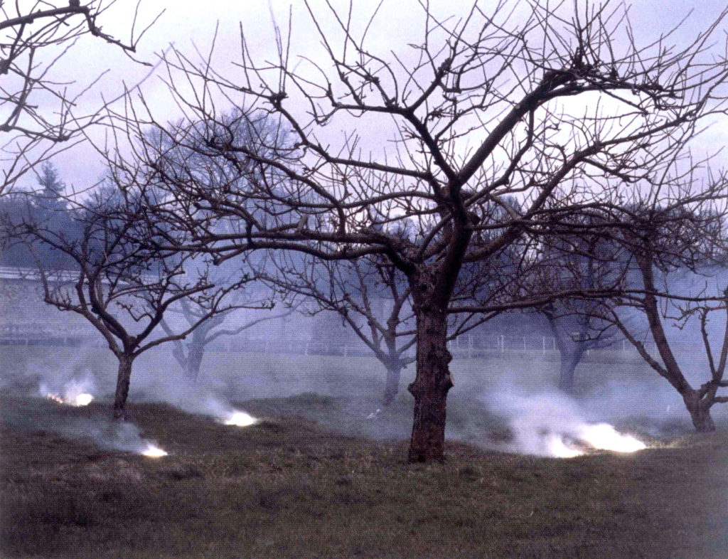 Sutapa Biswas, Magnesium Bird, 2004. Detail digital moving image, single screen projection