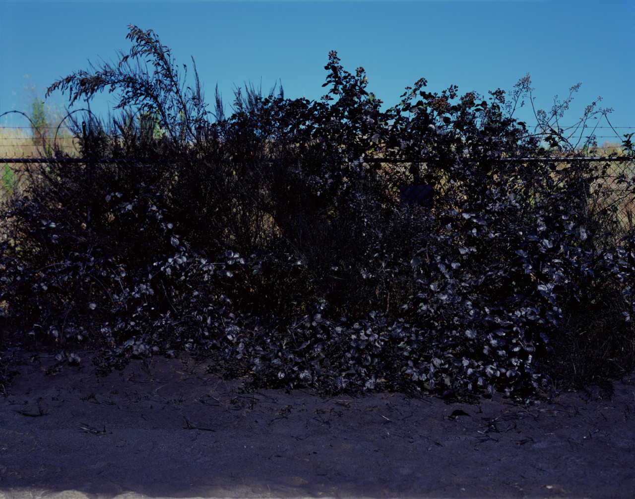 Andrew Dadson, Black Barbed Wire, 2013. Inkjet print, 148 x 176 x 7.5cm, edition 1/3 + 1 AP