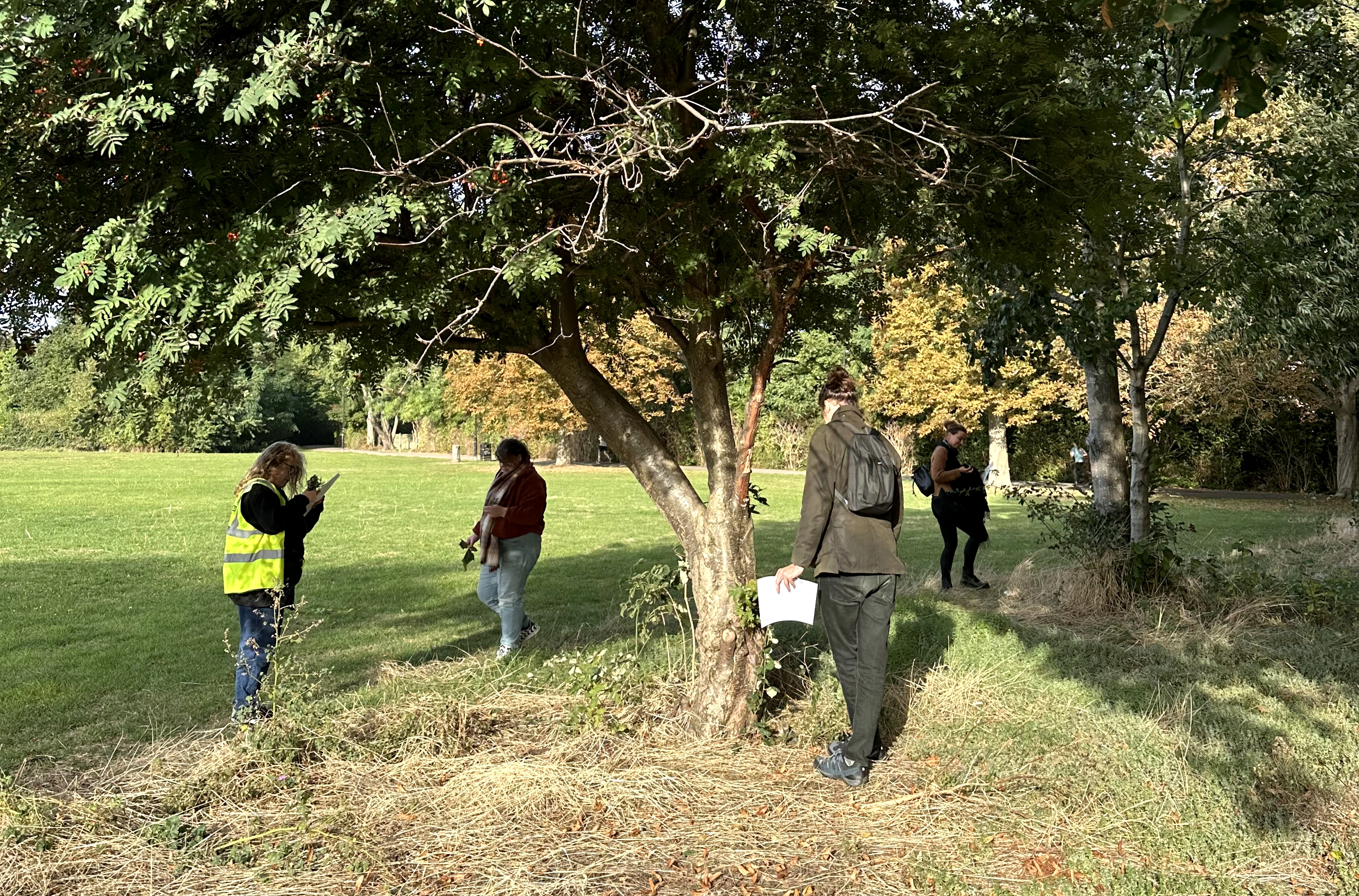 Nature Walk in Beckton Park