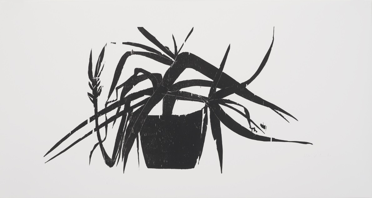 Andrea Büttner, Plant, 2017. Woodcut on paper. Courtesy of the artist and Hollybush Gardens