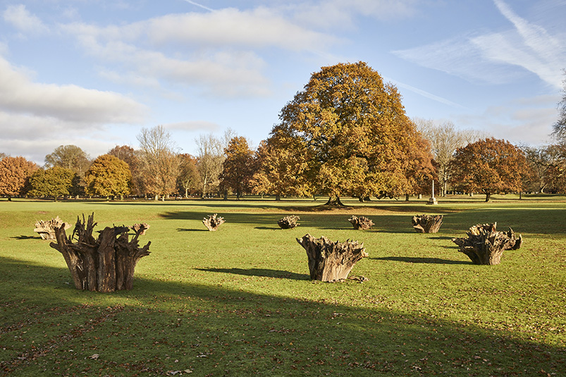 Richard Long, White Deer Circle, 2016 © Pete Huggins