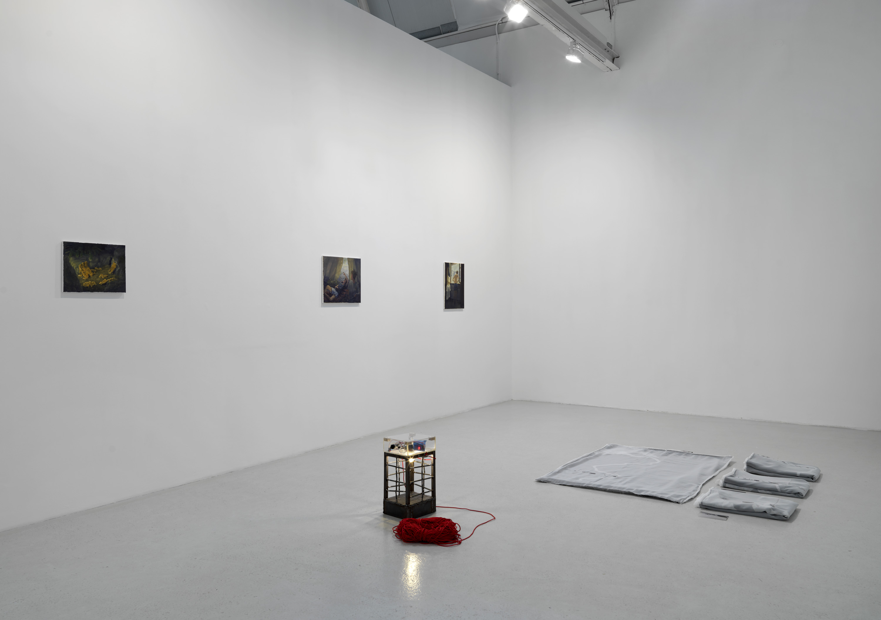 Felix De Clercq: Jusqu‘au Rhin, installation view. Photographer: Marcus J. Leith, courtesy of greengrassi, London