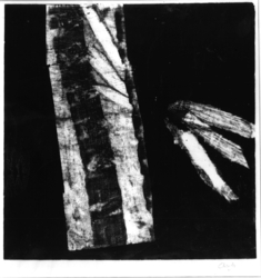 Monotype No. 6 (1961)