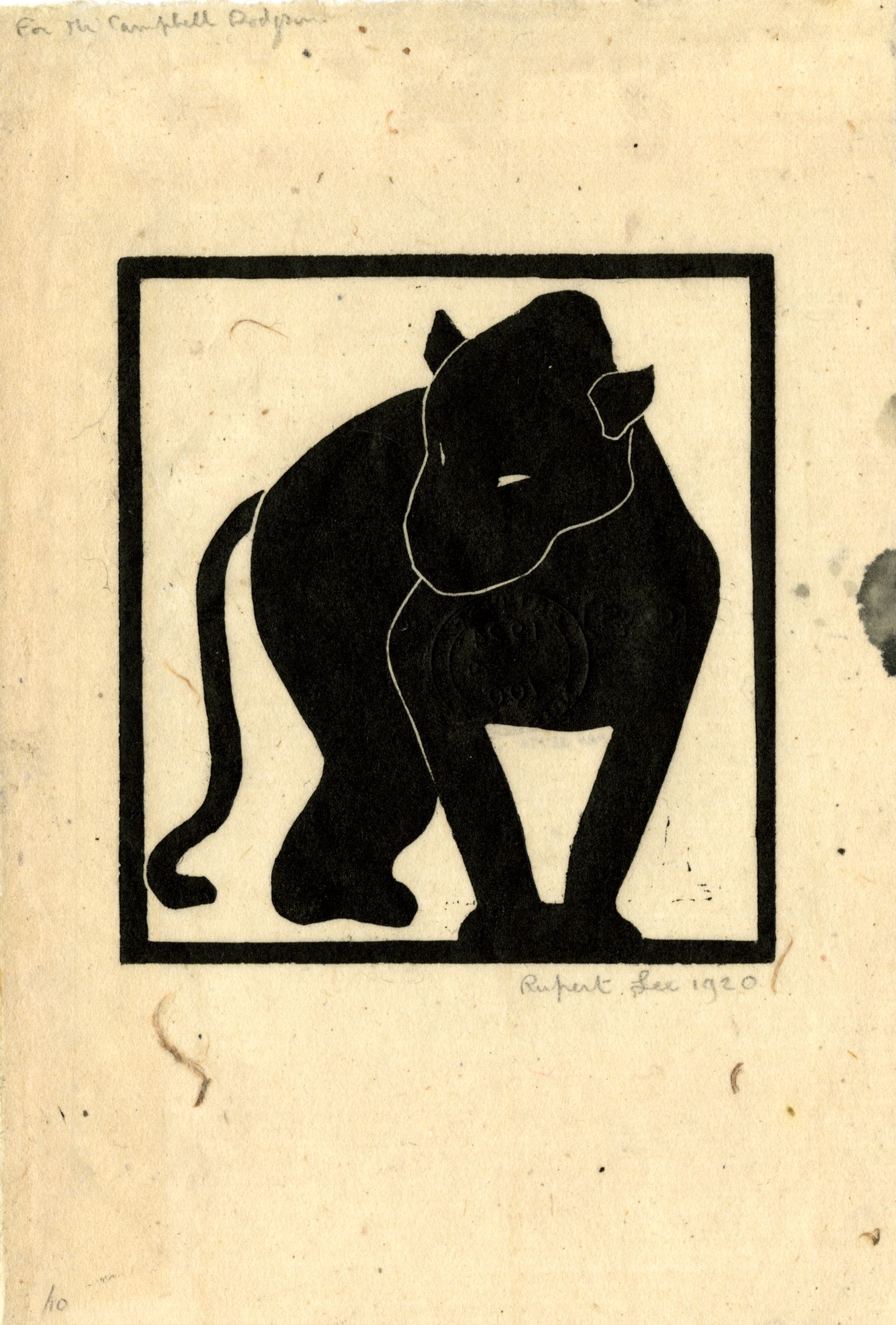 The Black Puma (1920)