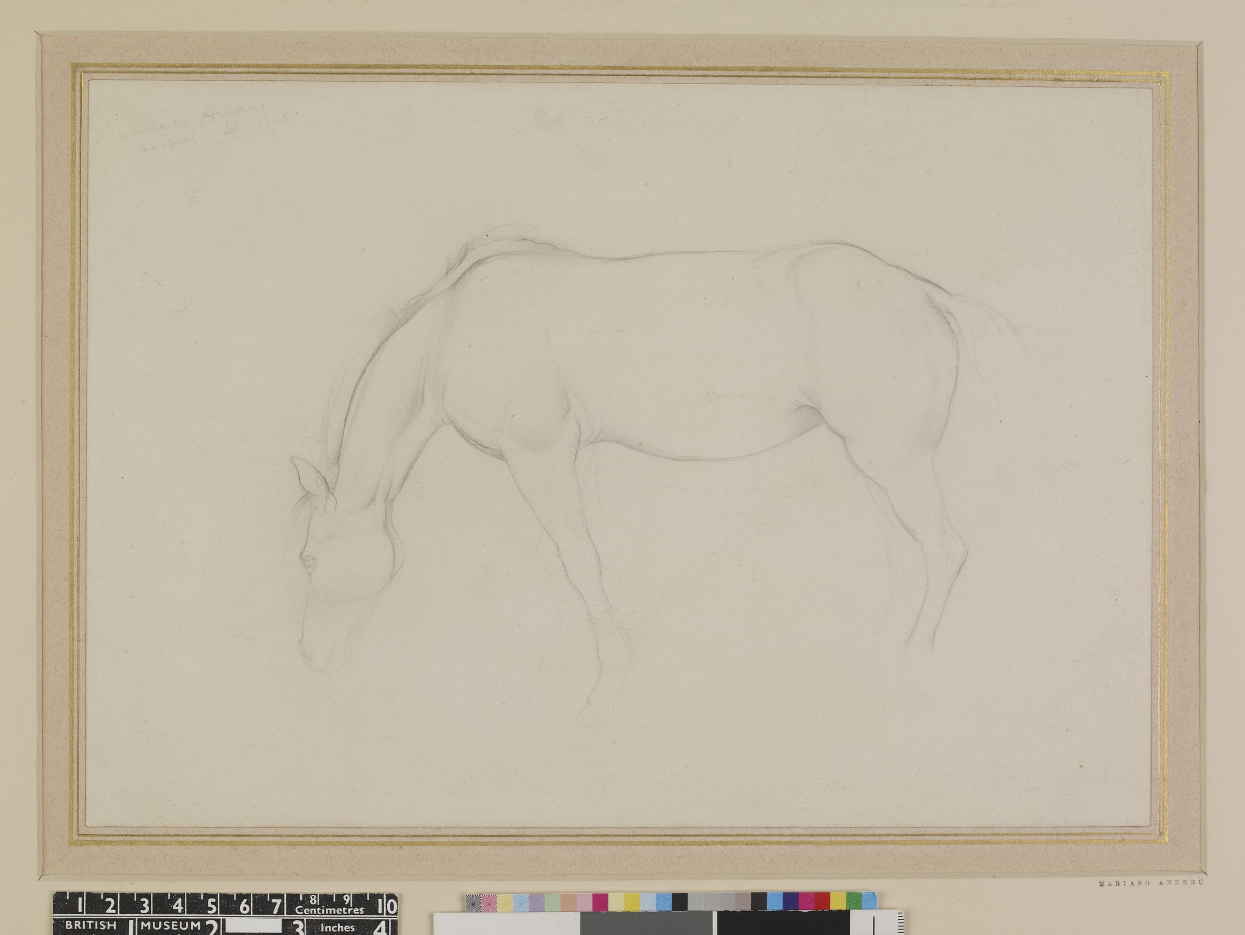 Horse (1926)