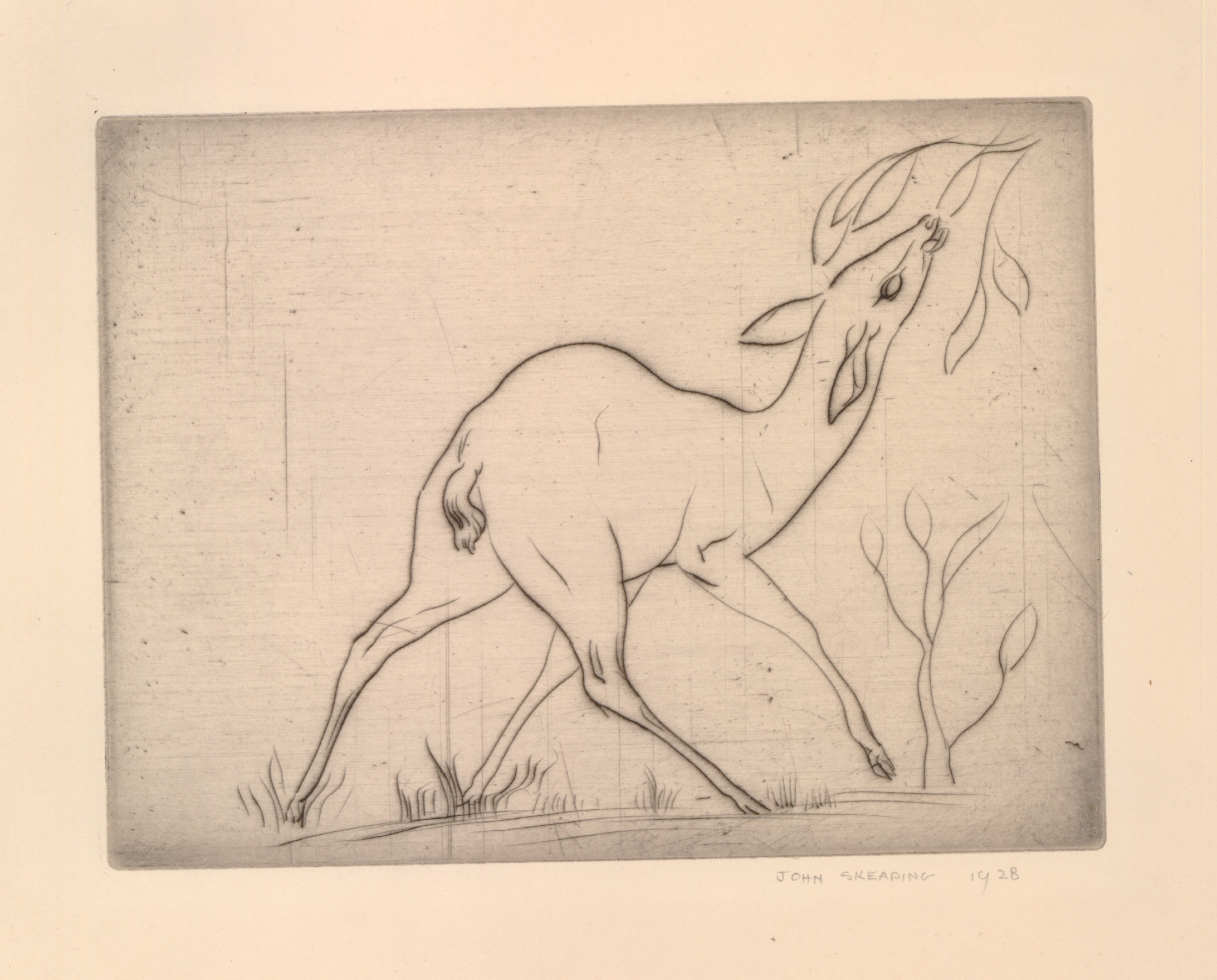 Deer eating (1928)