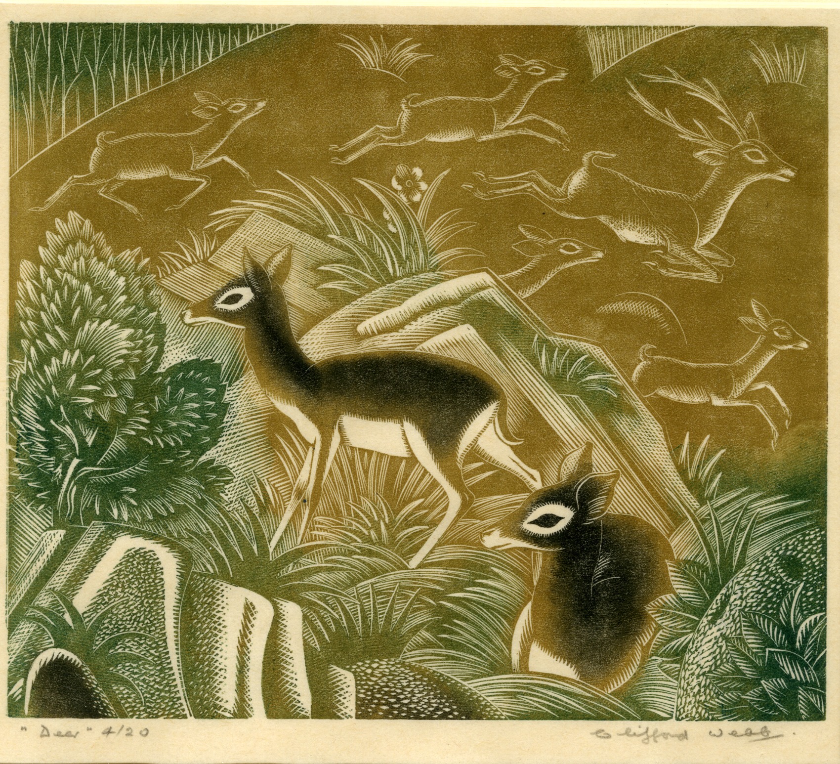 Deer (1941)