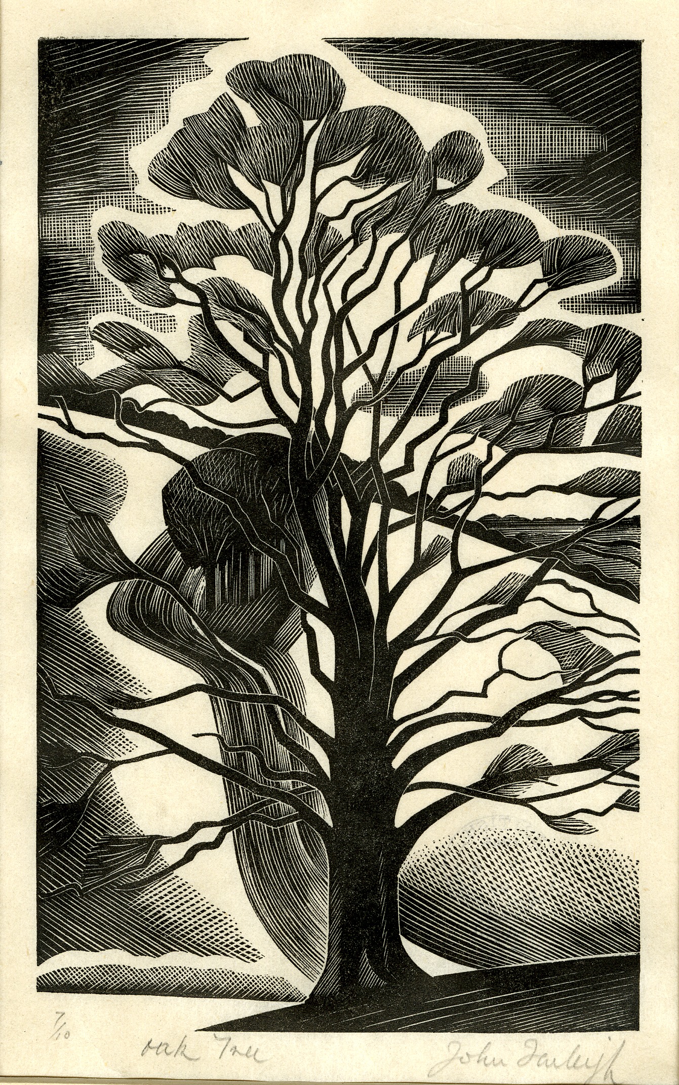 Oak tree (1940s)