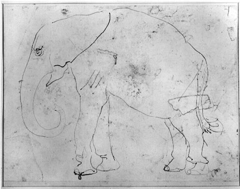 Elephant (circa 1912)