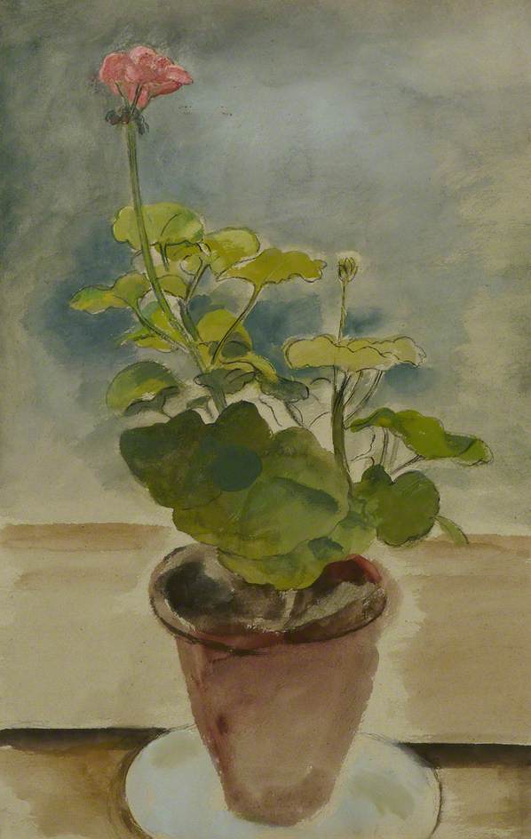 Geranium (before 1950)