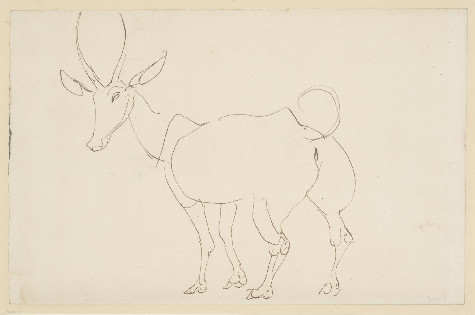 Eland (1912-13)