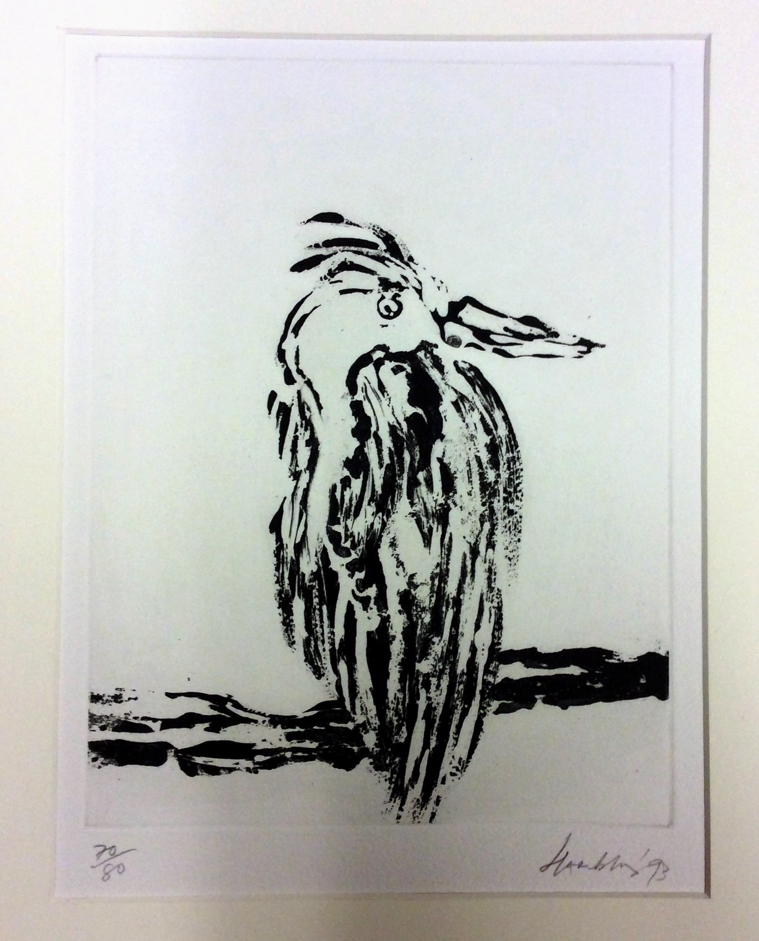 Heron (ardea cinera) (from Nine London Birds - Byam Shaw School of Art Portfolio) (1993)