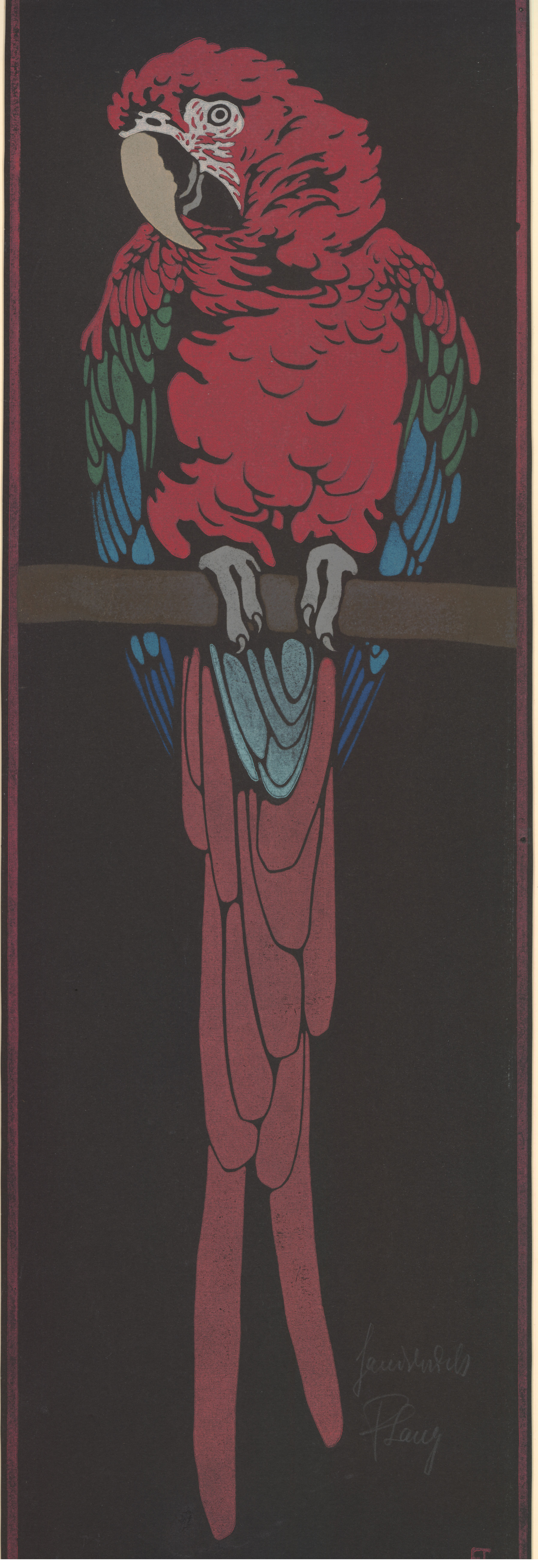 Roter Ara (karmin), auf Stange (Red (carmine) macaw on a perch) (about 1922)