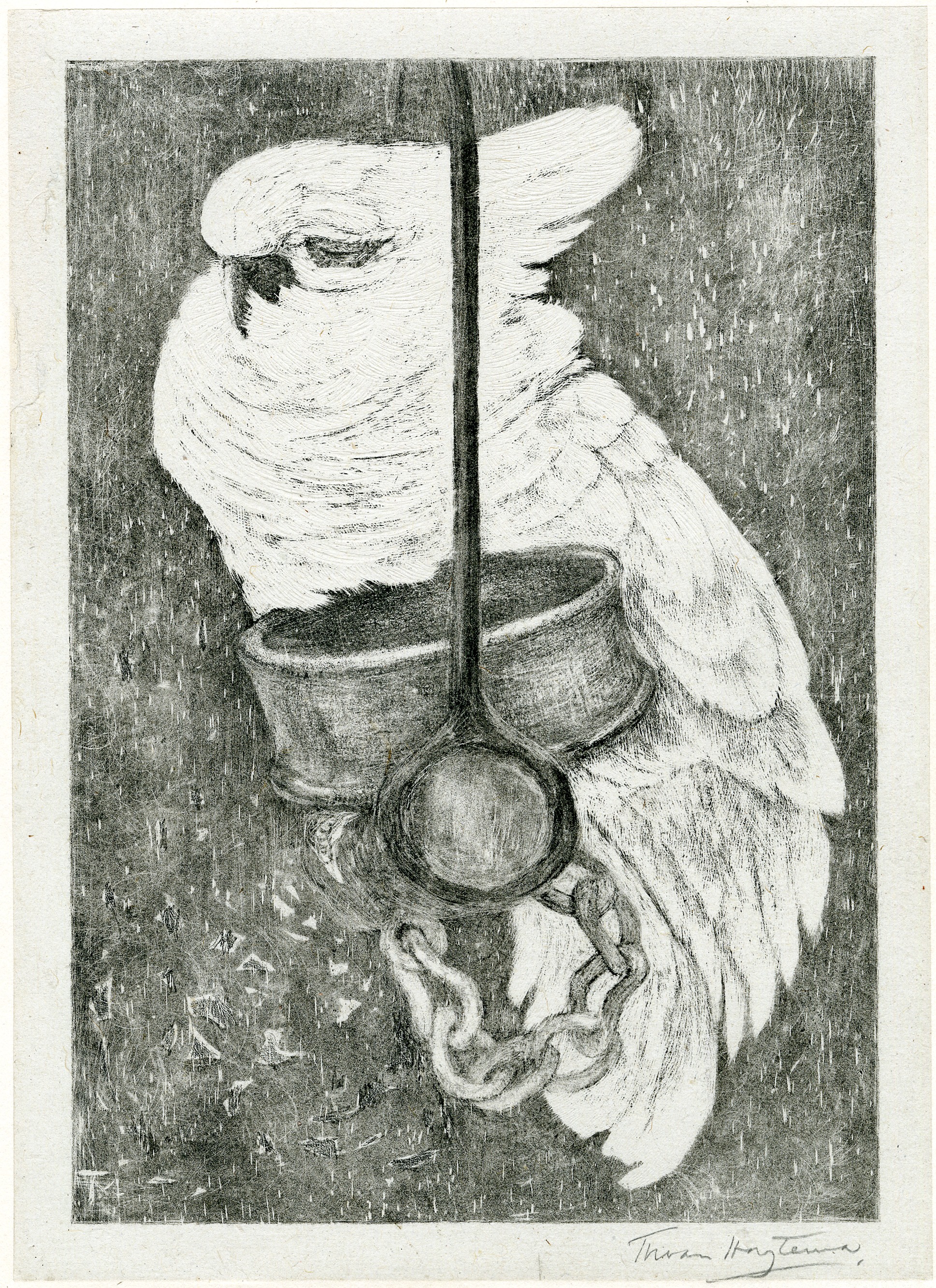 Cockatoo (1878-1914)