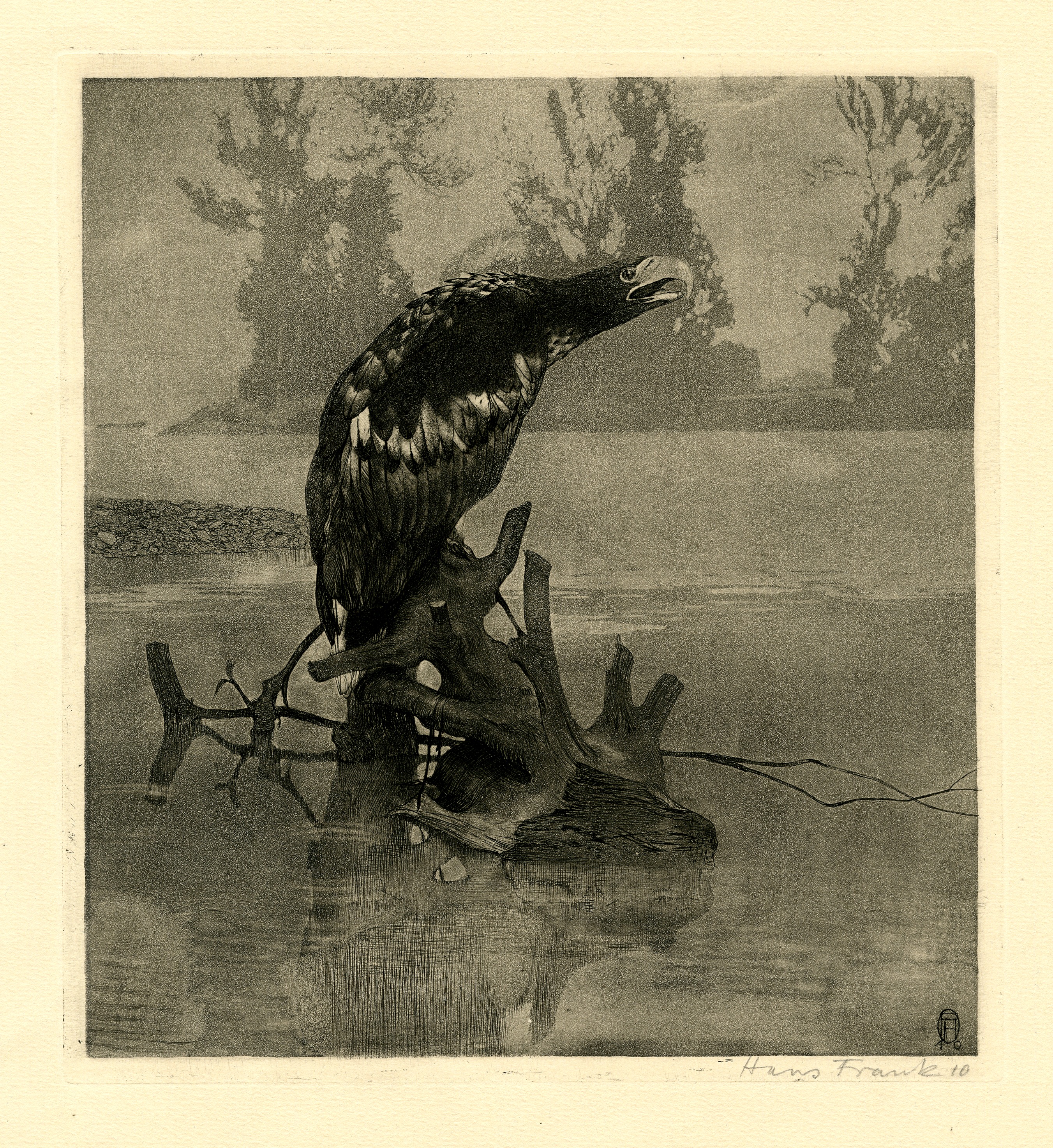 Sea eagle (1910)