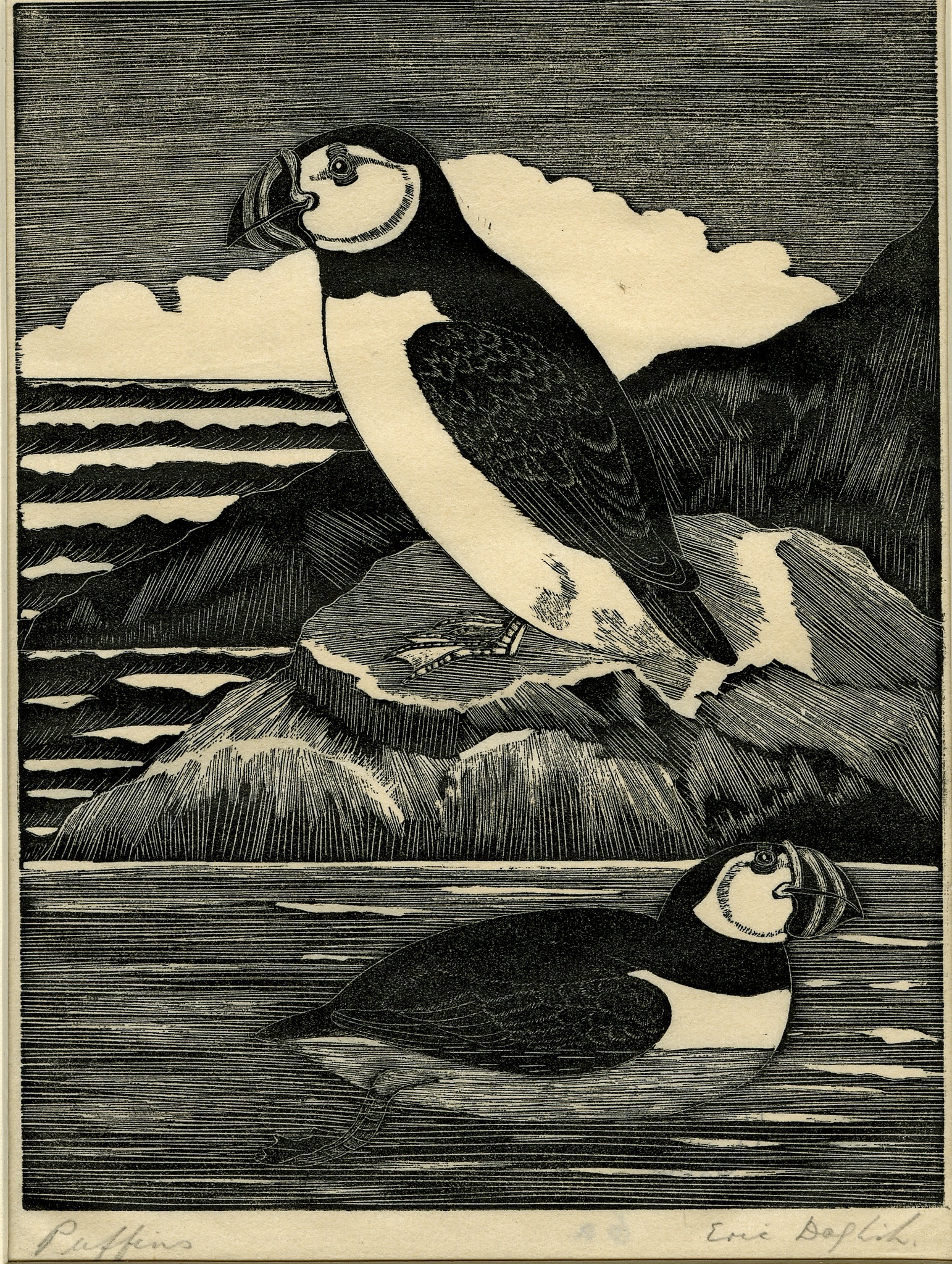 Puffins (1924)