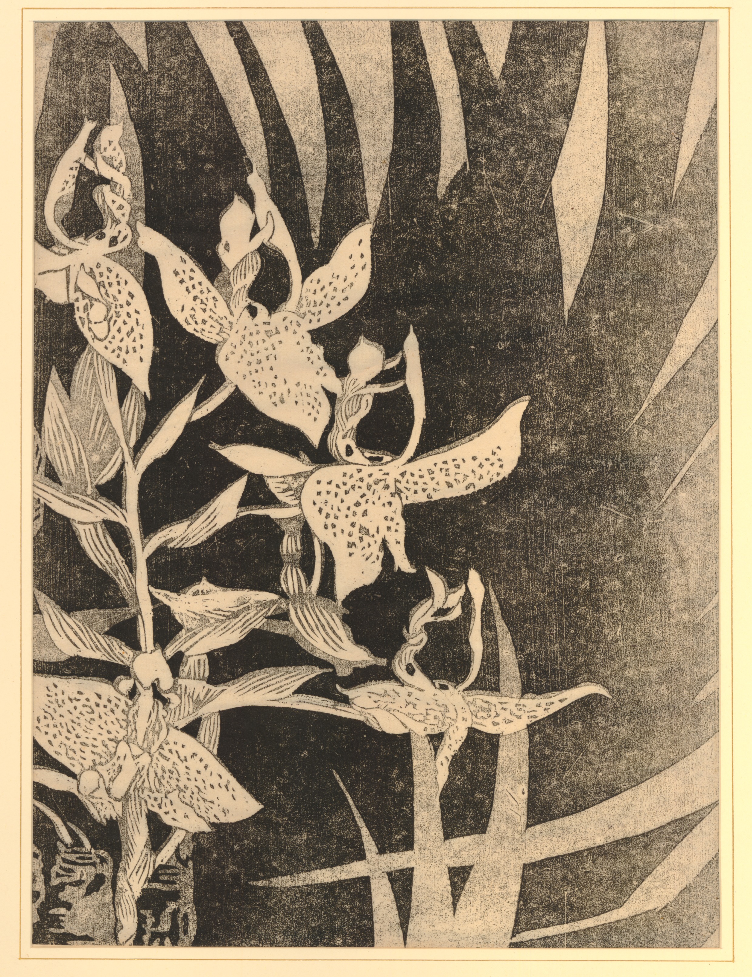 Orchids (1917)