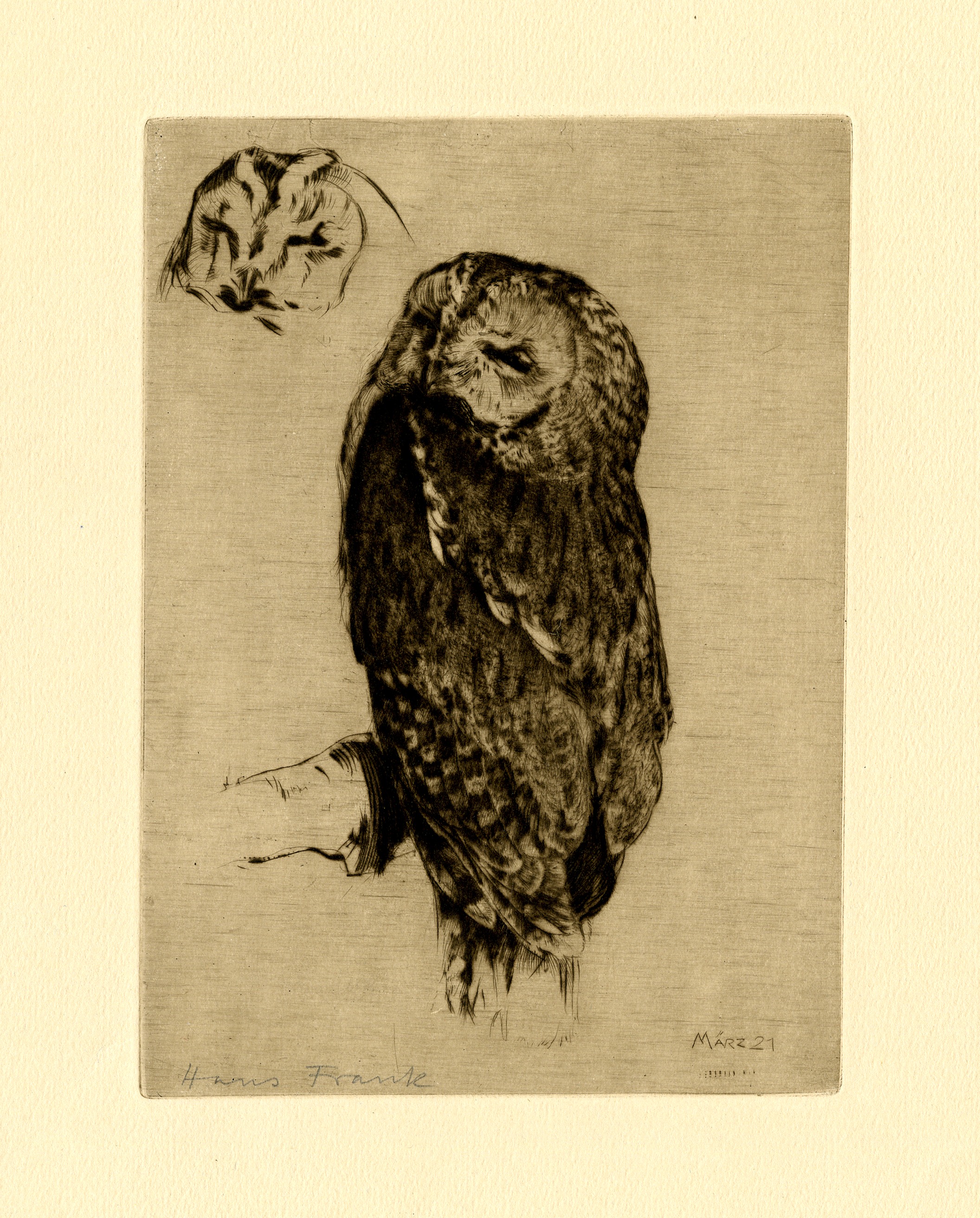 Owl (1921)