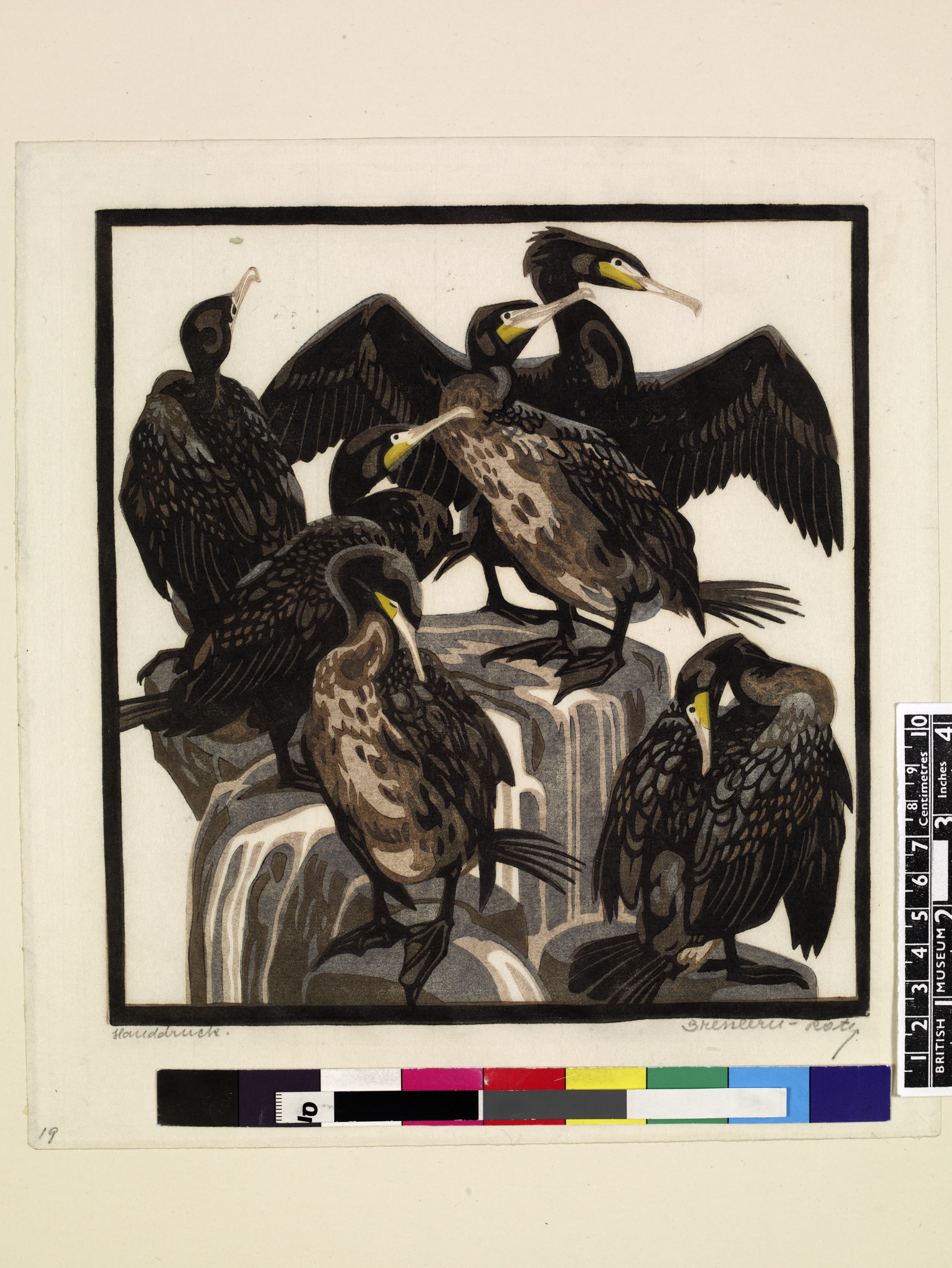 Cormorants (about 1929)