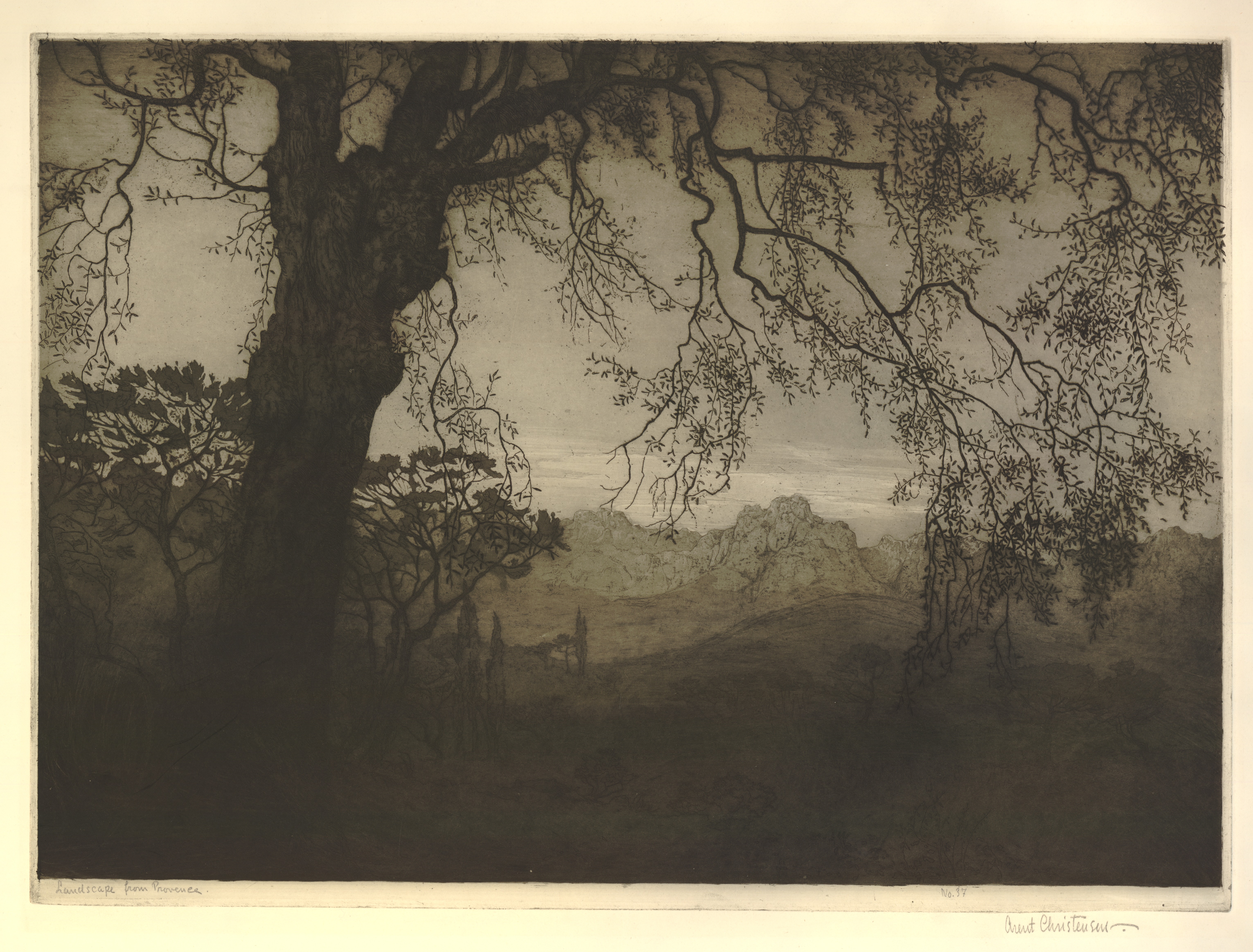 Landscape from Provence (about 1930)