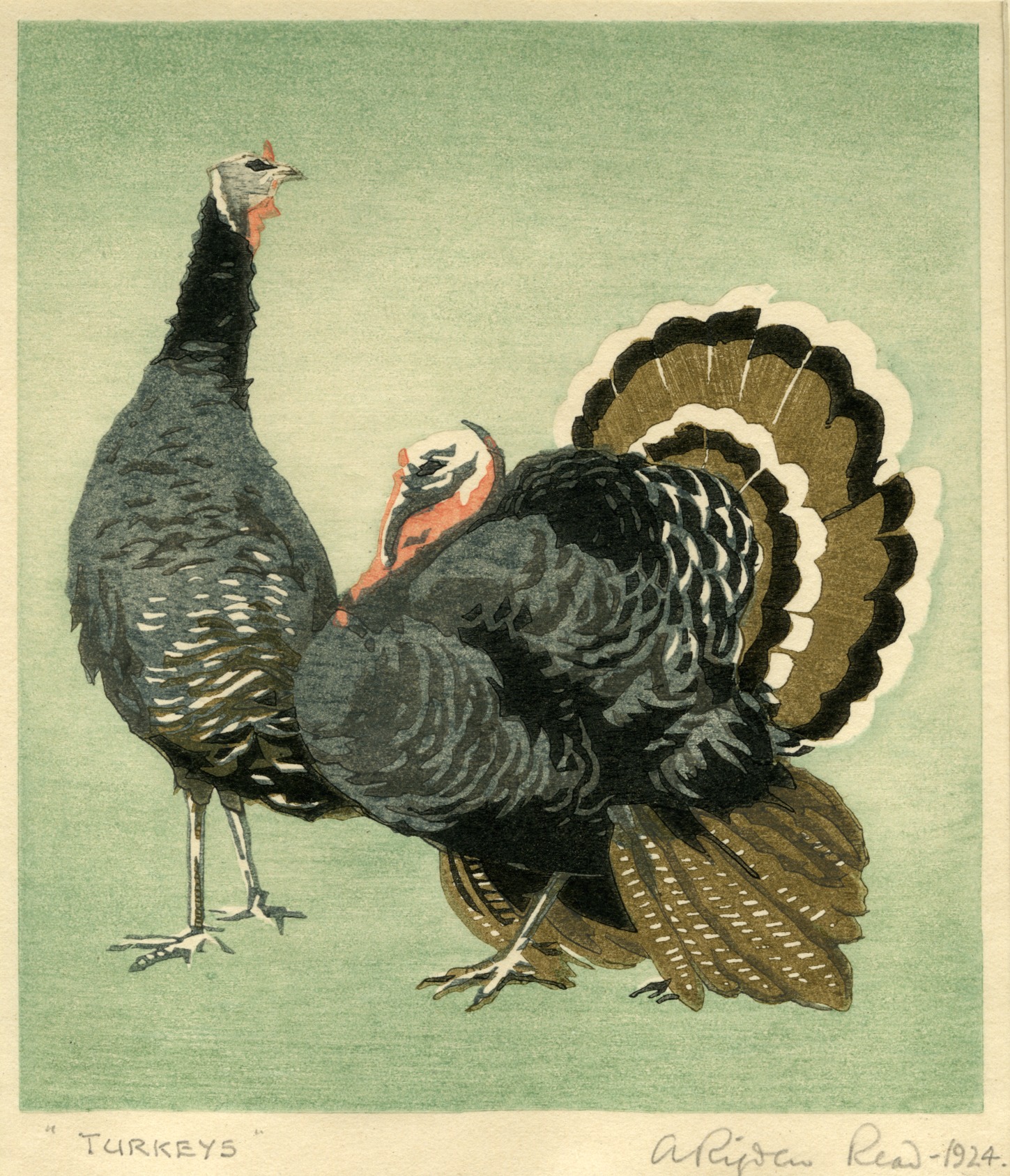 Turkeys (1924)