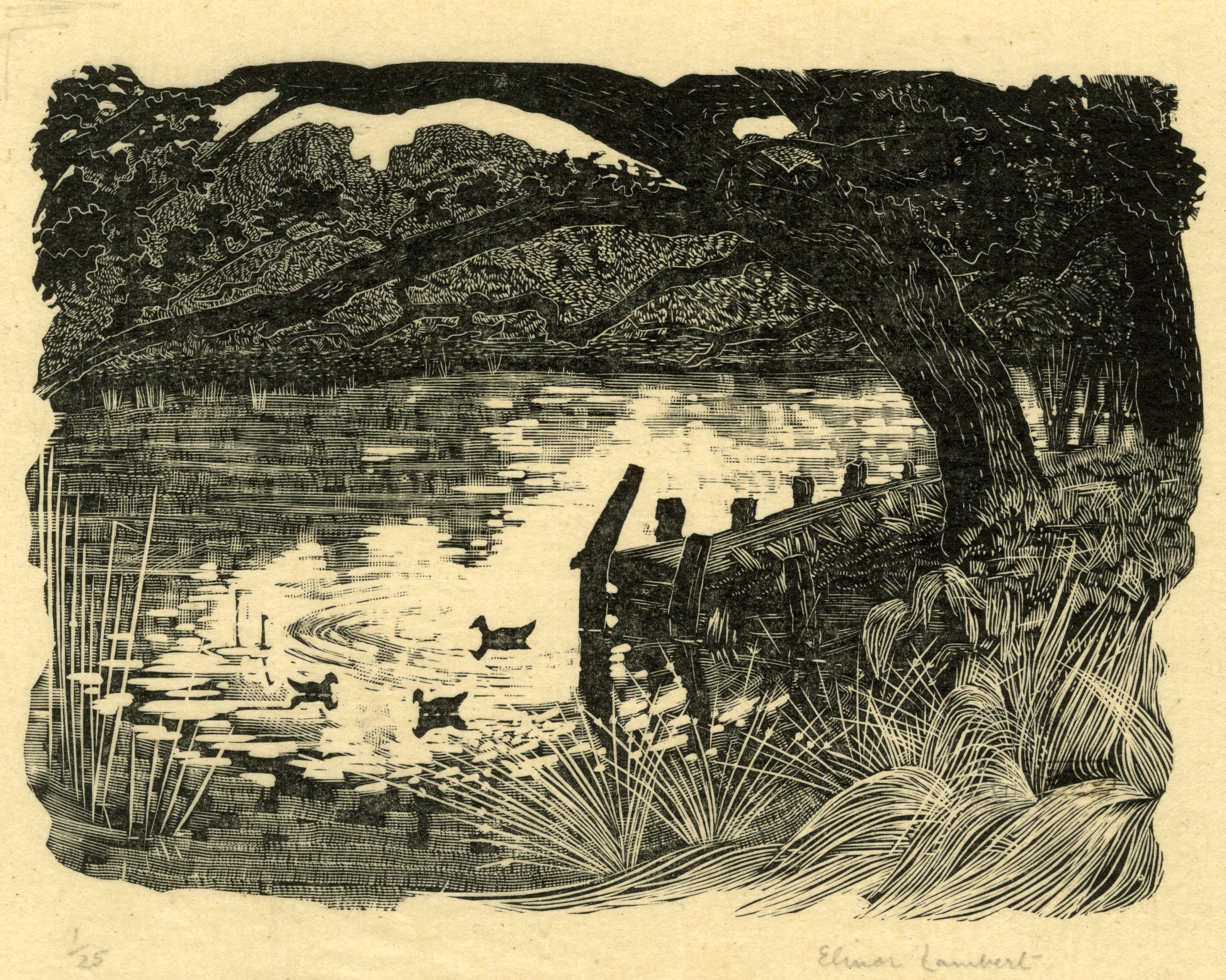 Duckshott [sic] (about 1932)