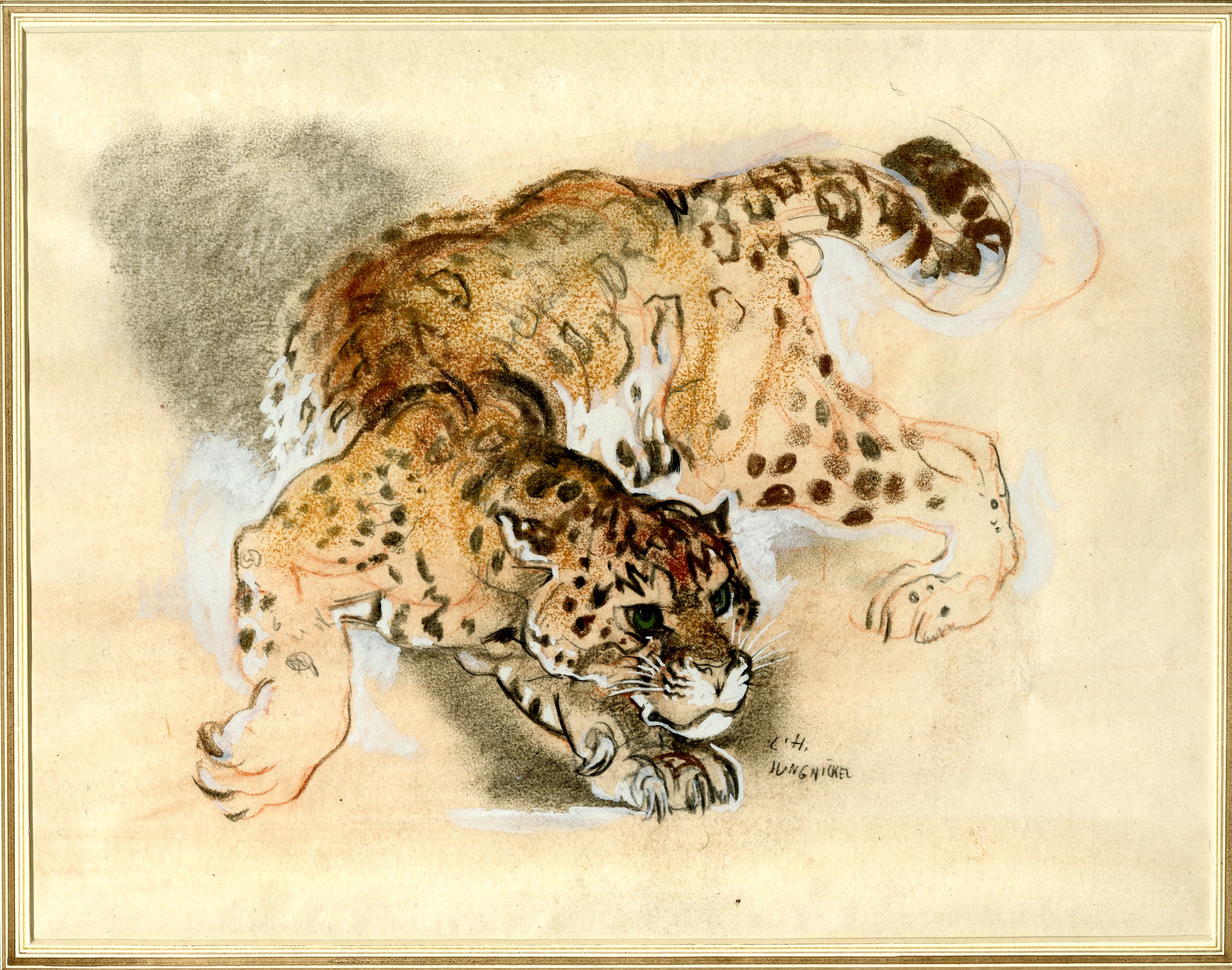 Jaguar (1896-1934)