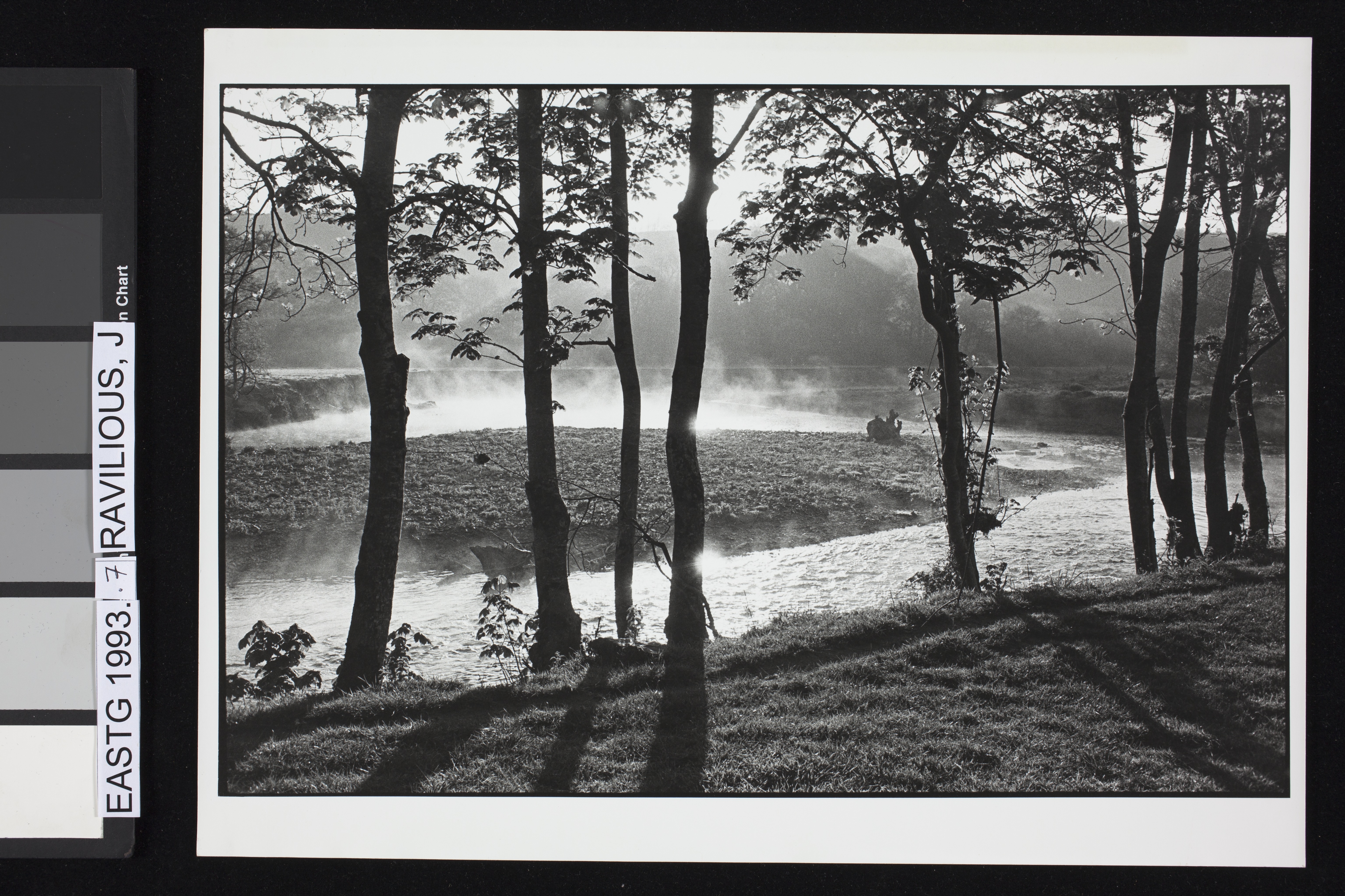 Early morning mist on the River Torridge, April 1980 (Twelve photographs from the Beaford Photographic Archive, Image 7) (1980)