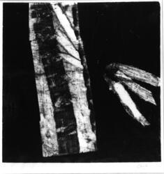 Monotype No. 6 (1961)