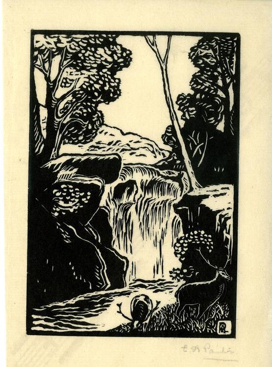 Waterfall (about 1924)