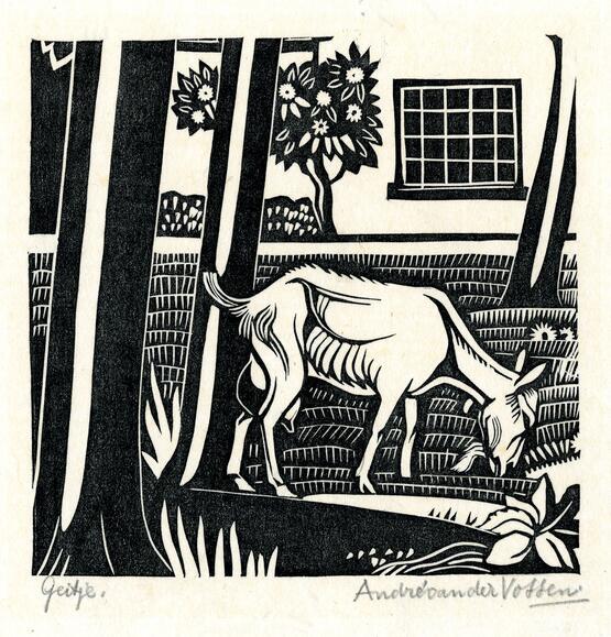 Geitje (Goat) (about 1931)