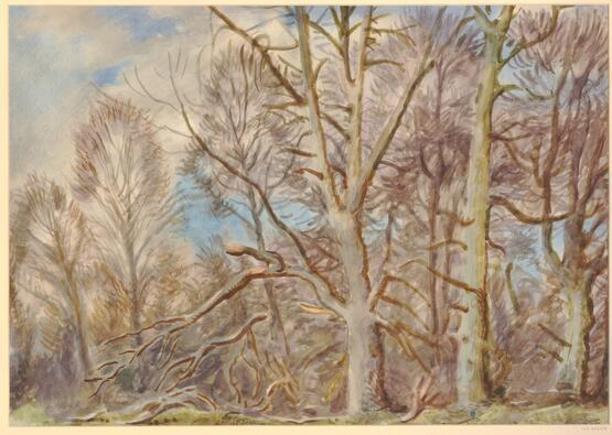 Woodland, Weston, near Newbury (1940)