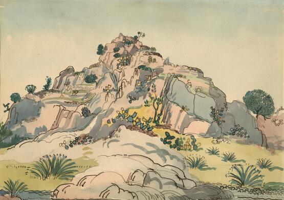 Hillside with cactus (circa 1910)