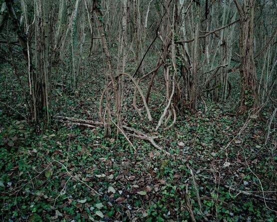 Soldat Léonard Leymarie, 16:30 / 12.12.1914, Fontenoy, Aisne, Picardie (Shot at Dawn series) (2014)