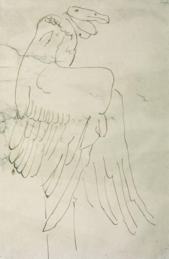 Vulture I (1912-13)