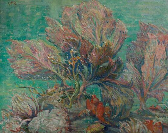 Sea Fans, Bermuda (circa 1911-1953)