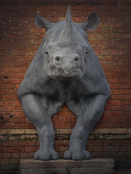 Rhinoceros (2000)