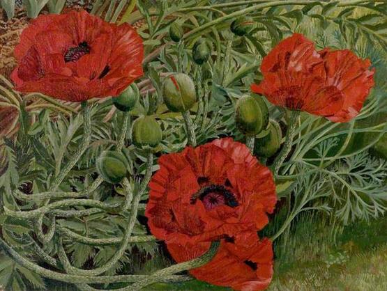 Poppies (1938)