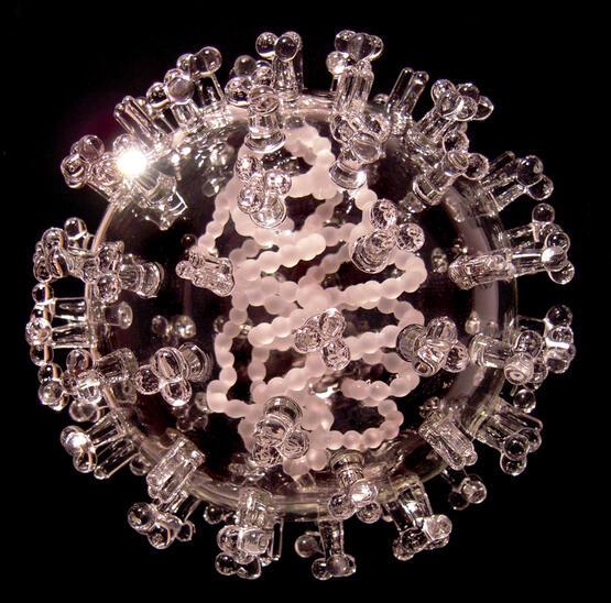 Glass Microbiology H1N1 Swine Flu (2011)