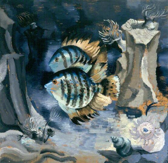 Angelfish, London Aquarium (1930)