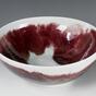 Porcelain Bowl (2005)