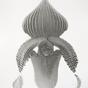 Paphiopedilum superbiens (from the series Orchidomania) (2016)