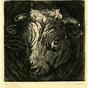 Head of a bull with horns (about 1925)