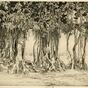 The banyan tree (Fourth Indian plates Series) (1927)