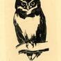 Owl (1922)