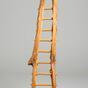 Ladder (1978)