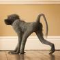 Young Baboon, walking (2000)